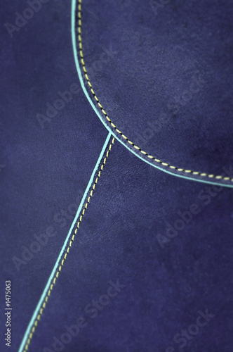 leather bag detail