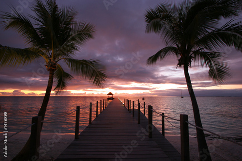 dream island