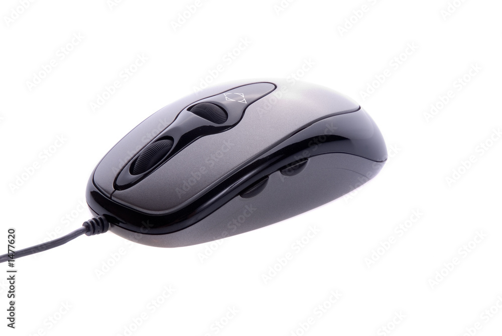 computer mouse computer mouse