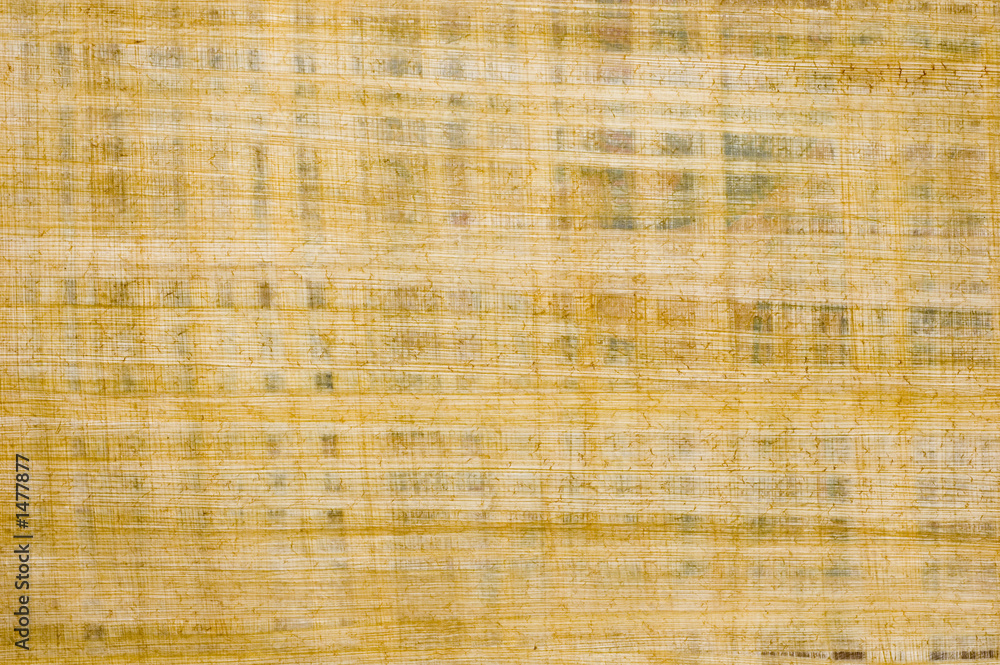 Fototapeta premium old papyrus background texture from egypt