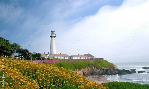 pigeon point lighthouse photo