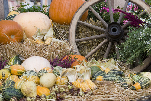 der herbst lädt ein