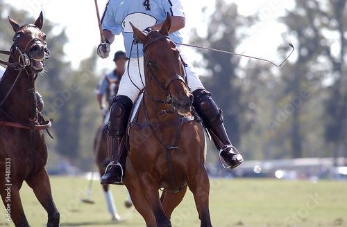 polo rider coming through