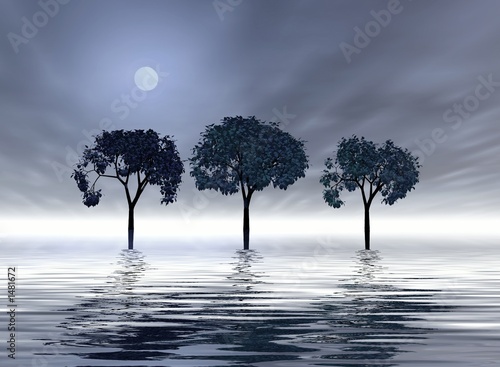 trio of trees under the moon