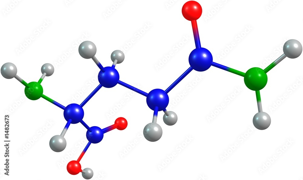 the 3d-rendered colorified molecule of glutamine the 3d-rendered colorified molecule of glutamine
