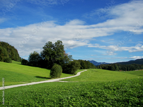 friedliche landschaft