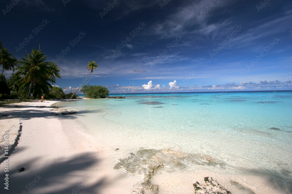 Fototapeta premium dream island