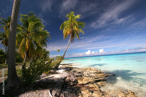 dream island