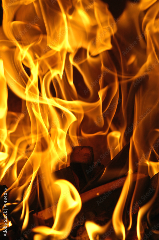 Fototapeta premium flammen #0019