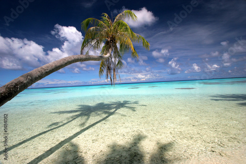 dream island photo