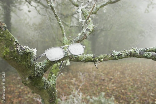 abandoned glasses