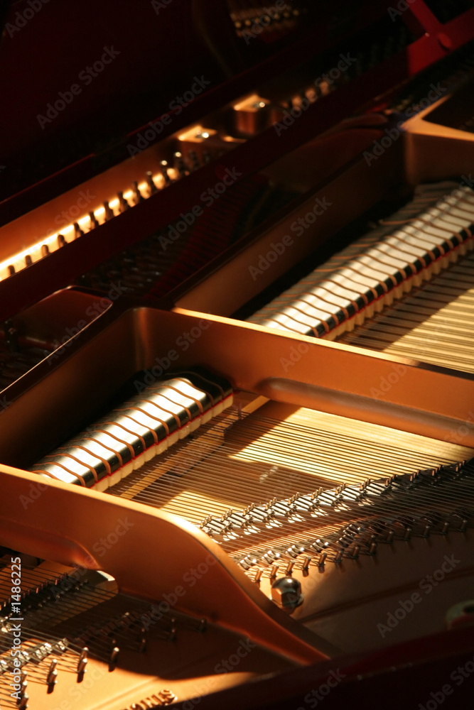 Naklejka premium inside piano