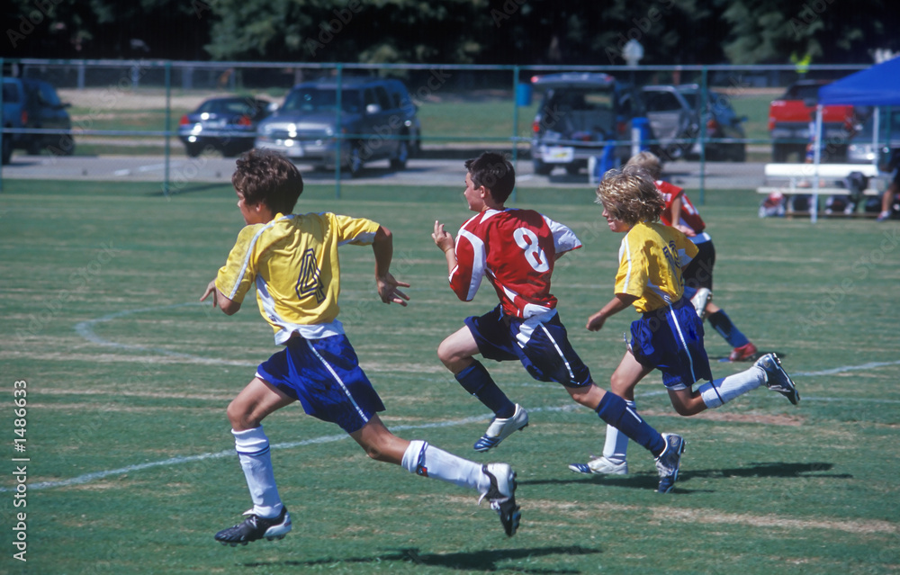 Fototapeta premium junior soccer / football - chasing the ball