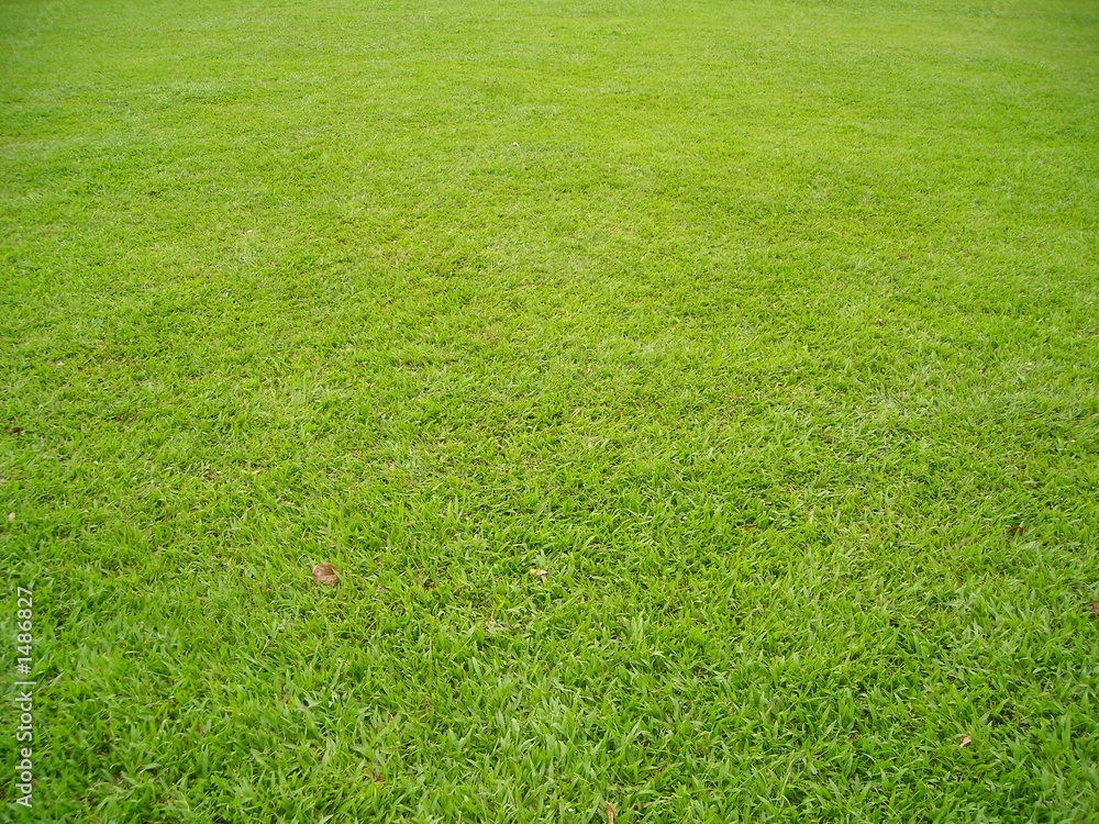plain green field plain green field