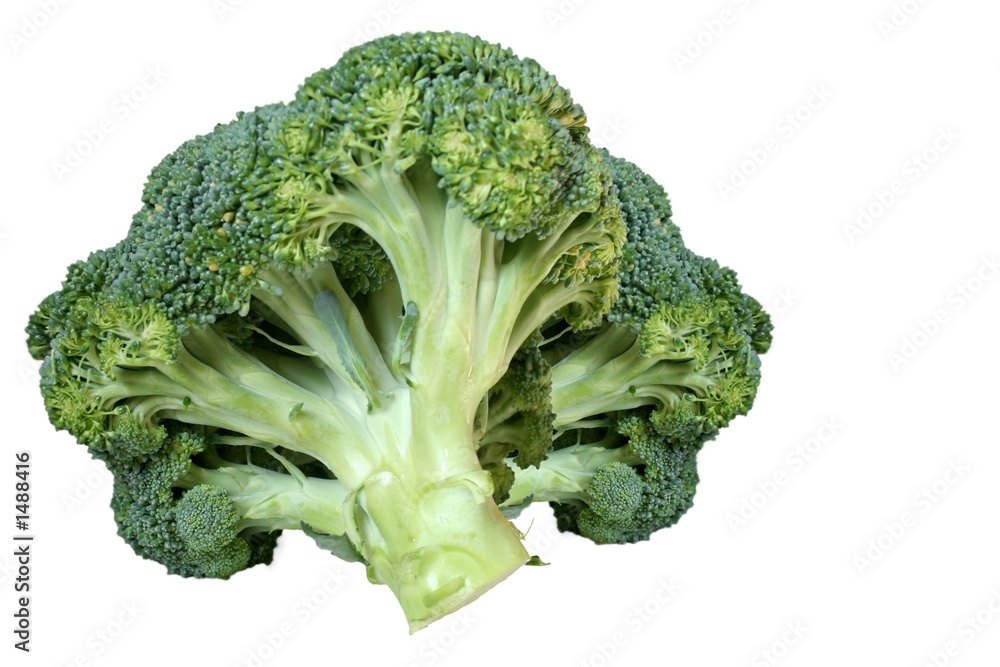 broccoli broccoli