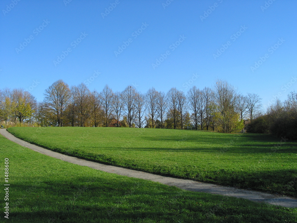 Fototapeta premium herbst - wiesenweg