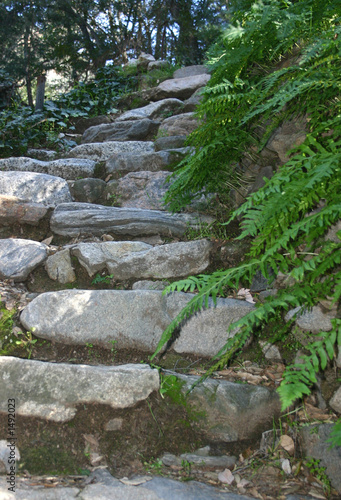 stairs of stone