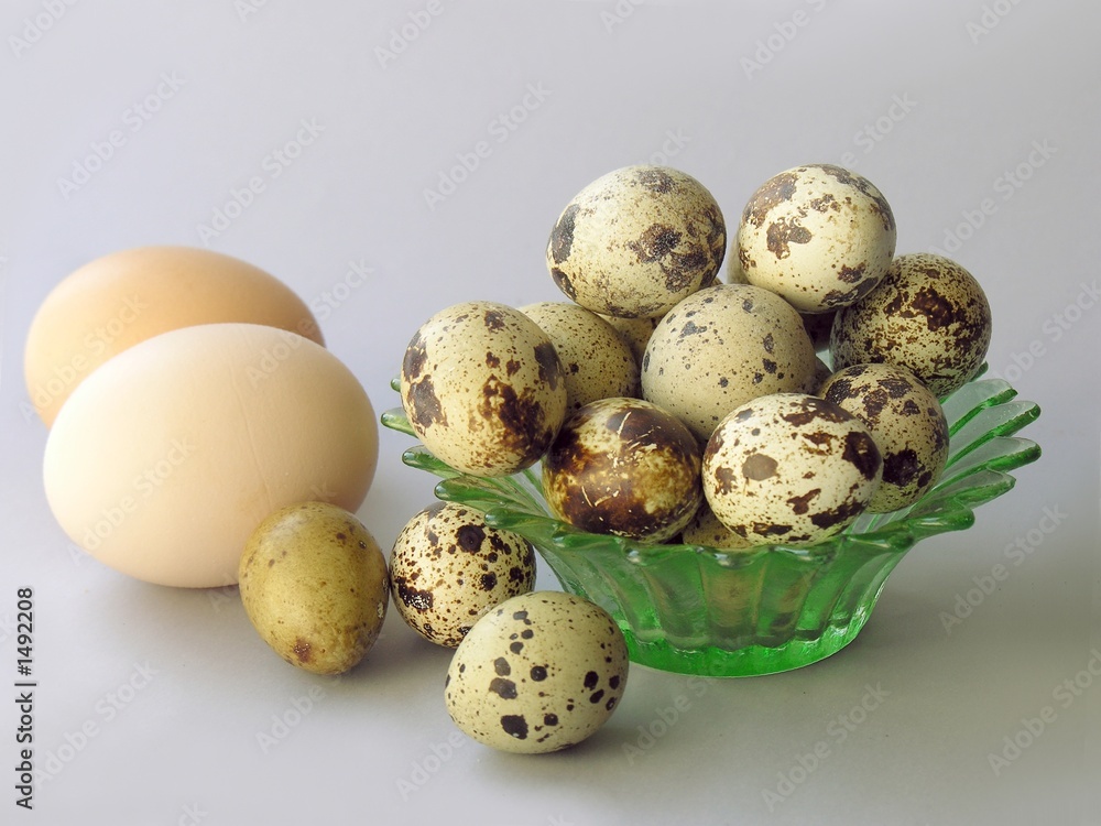 Obraz premium eggs