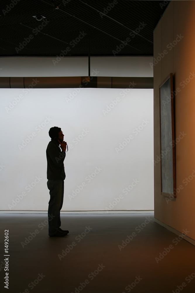 Obraz premium gallery