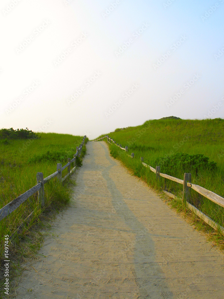 sandy path to the beach3 sandy path to the beach3