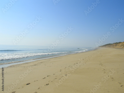 footprints in the sand