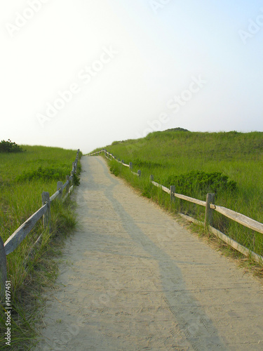 sandy path to the beach2