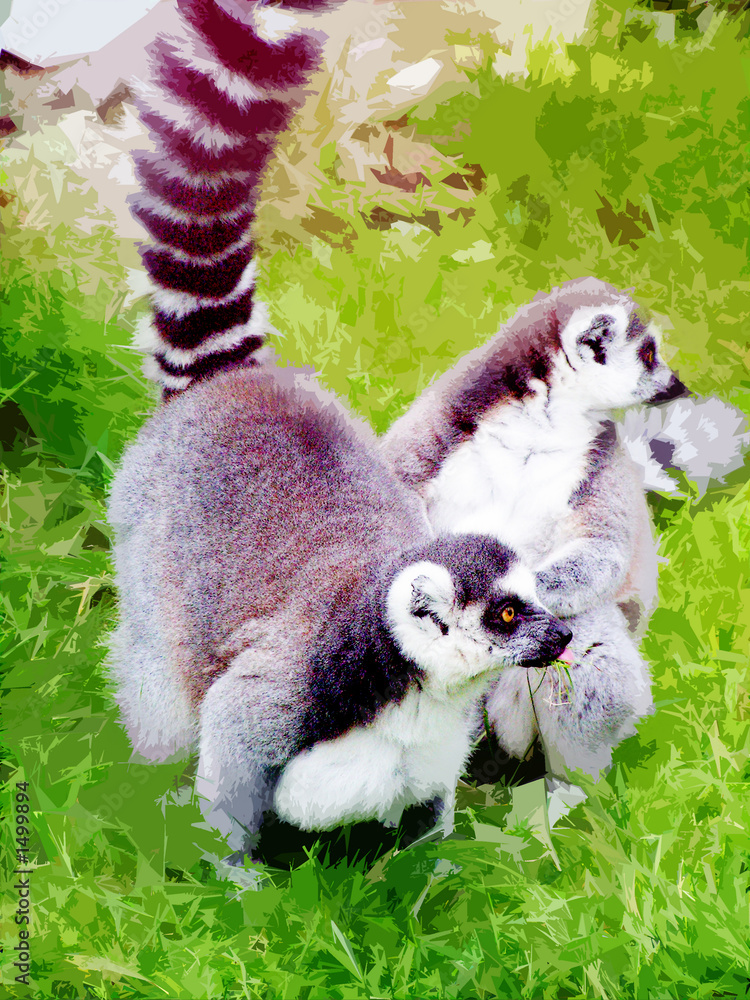 monkey lemur monkey lemur