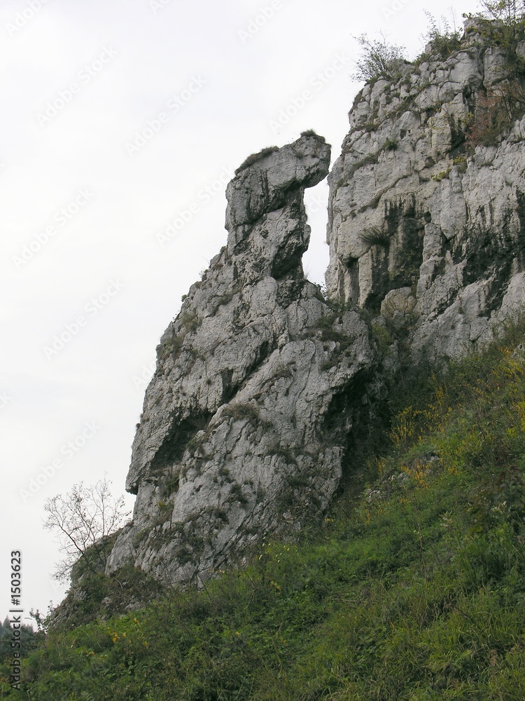 jurassic limestone rocks