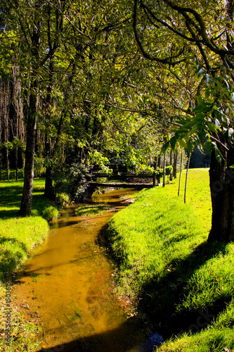 nature 4