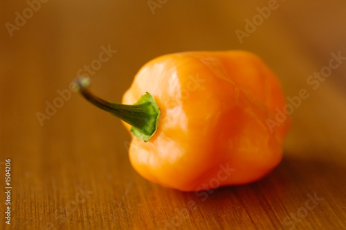 habanero pepper photo