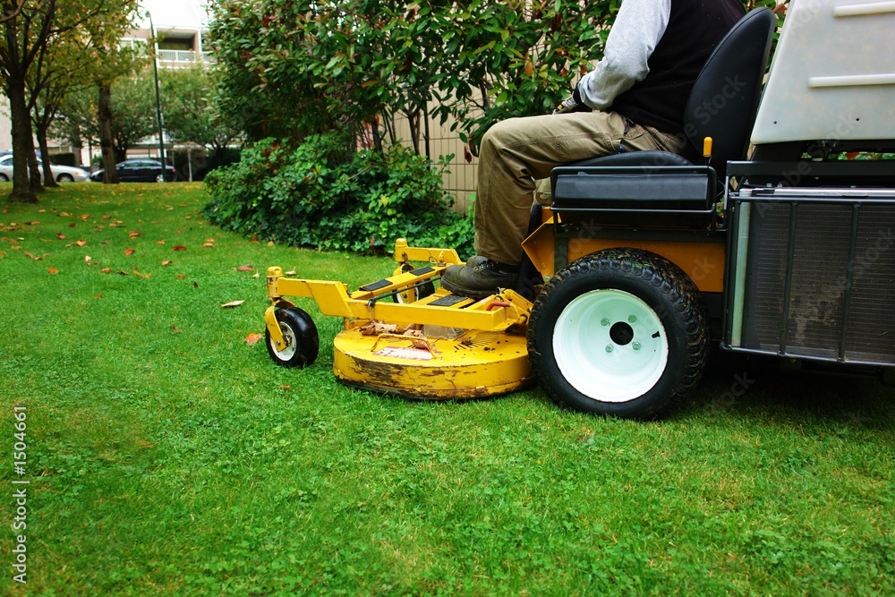 Fototapeta premium lawnmower