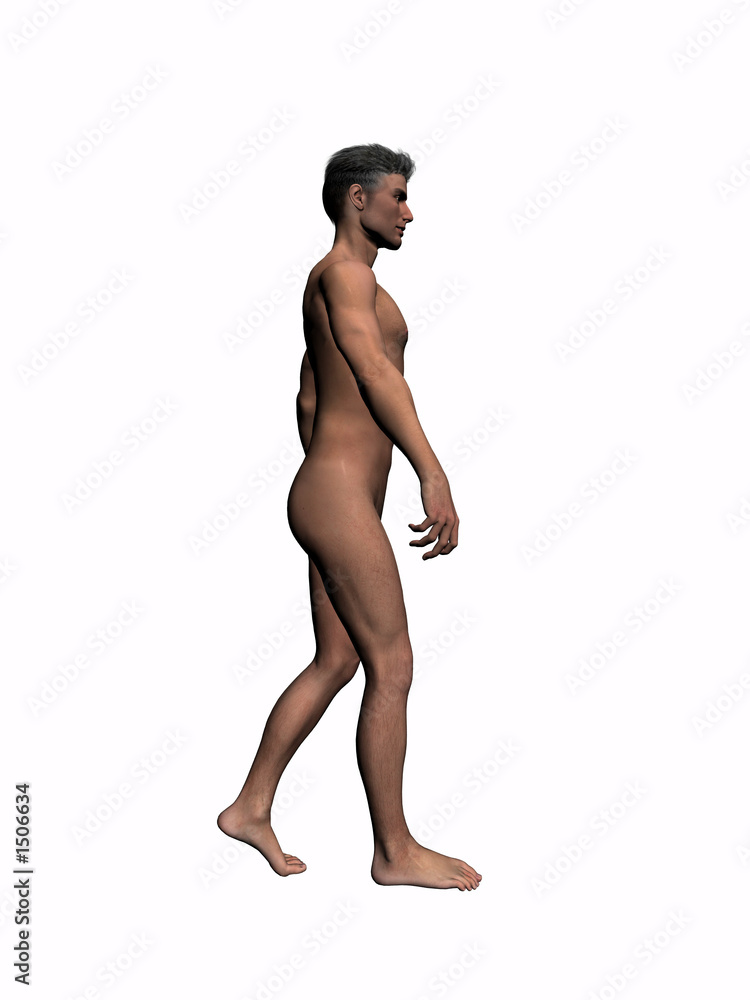 anatomy of the man walking 4. anatomy of the man walking 4.