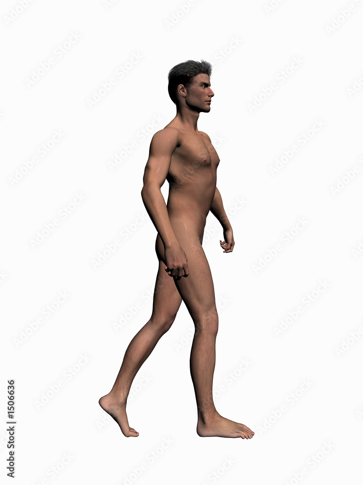 anatomy of the man walking 2. anatomy of the man walking 2.
