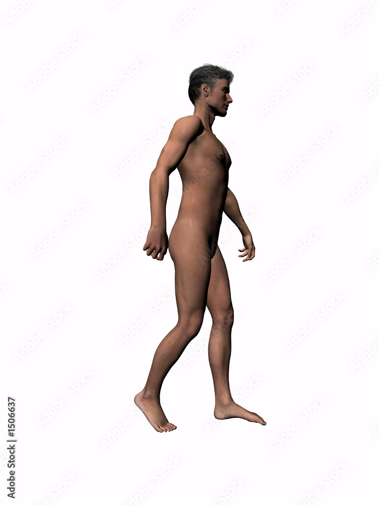 anatomy of the man walking 3.