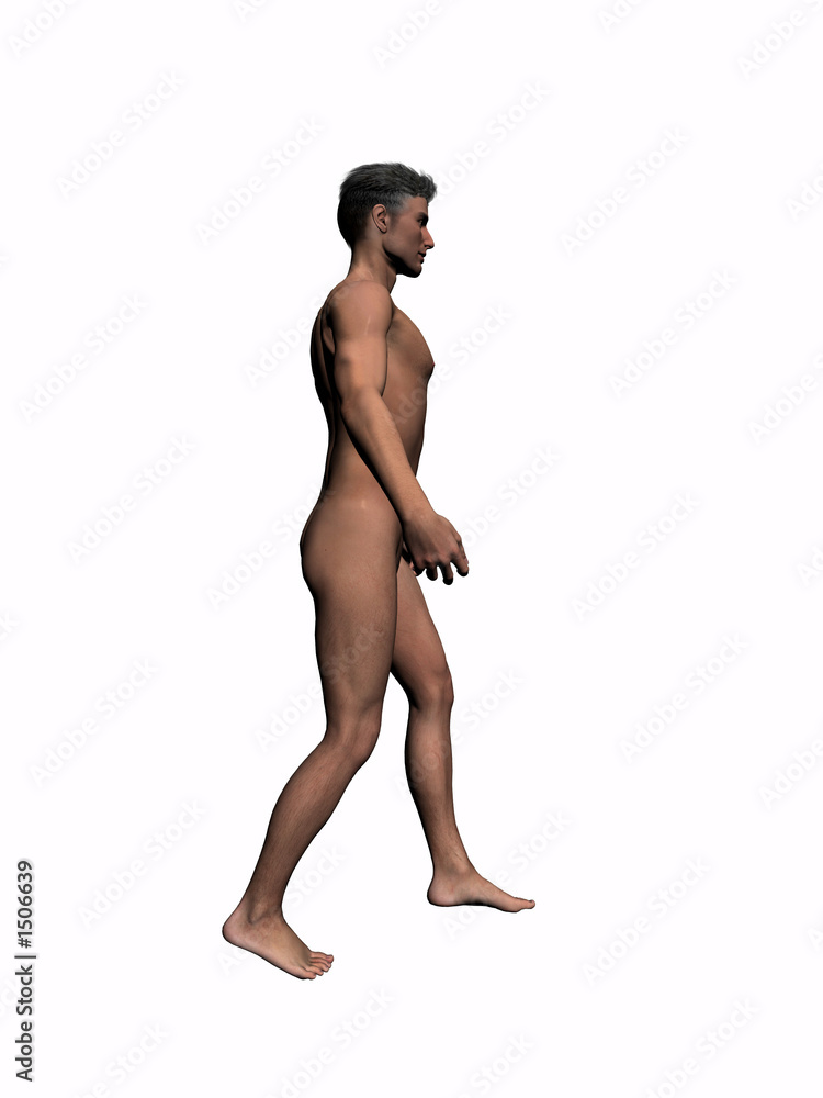 Naklejka premium anatomy of the man walking 1.