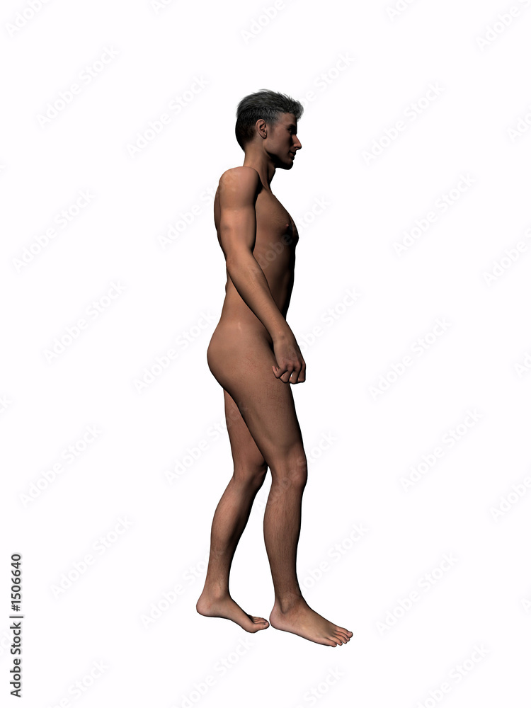 anatomy of the man walking 5. anatomy of the man walking 5.