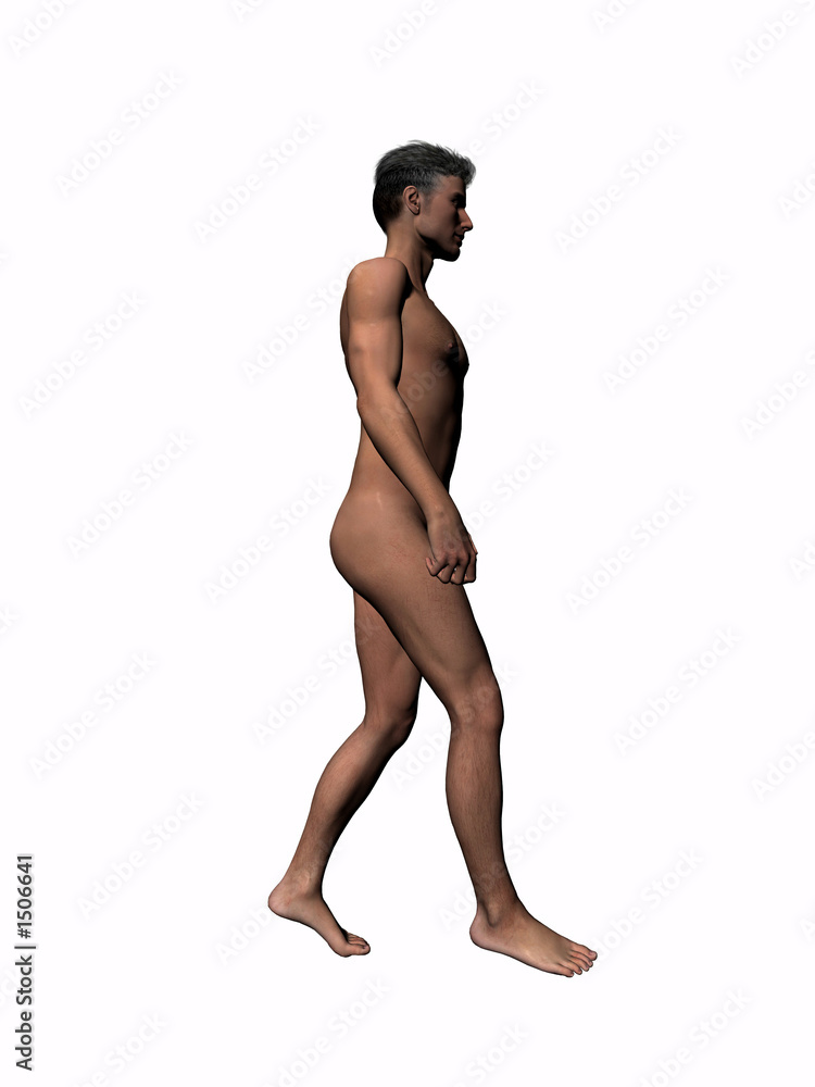 anatomy of the man walking 6. anatomy of the man walking 6.