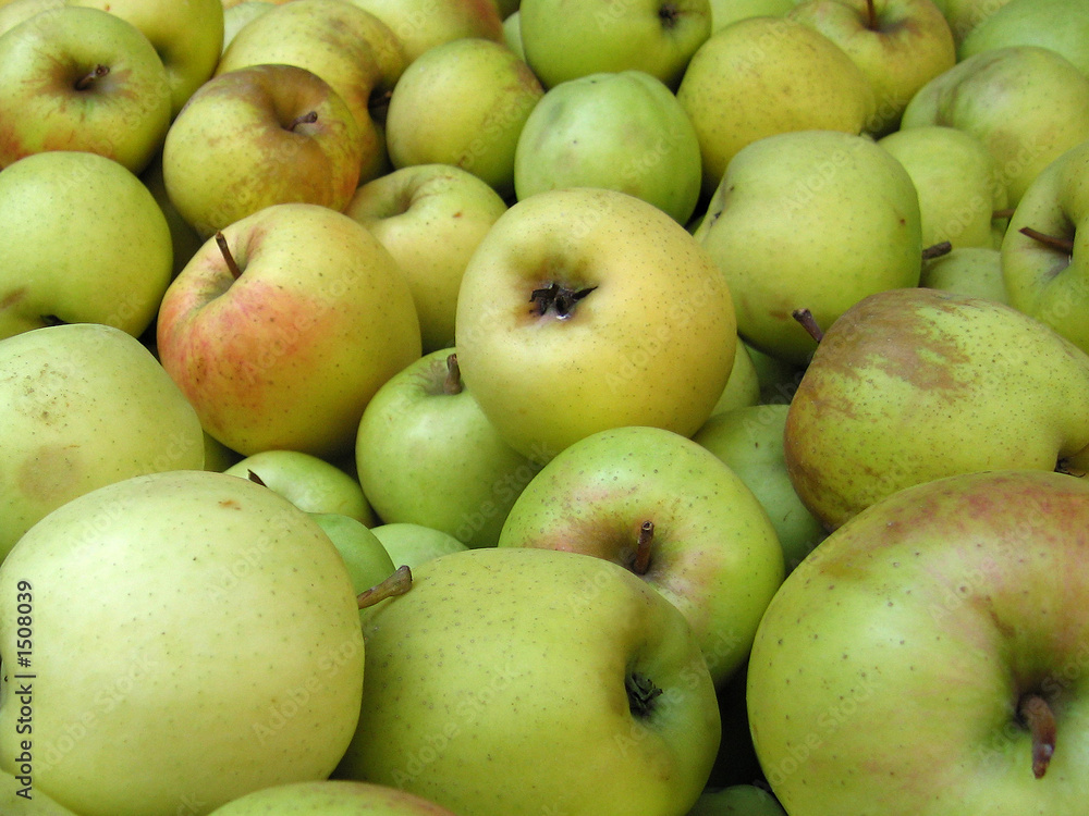 yellow apples yellow apples