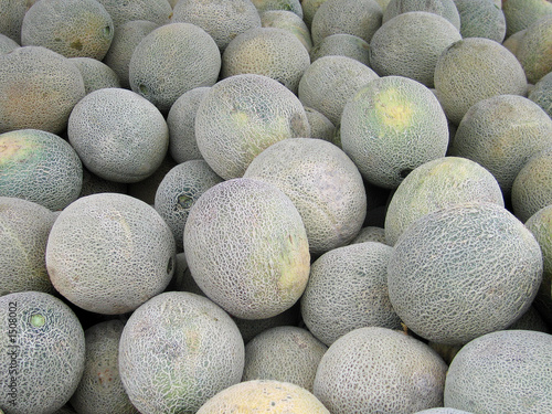 cantalopes