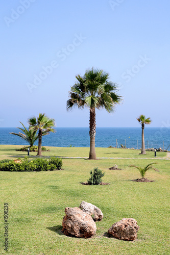 view to sunny lawn, garden and sea