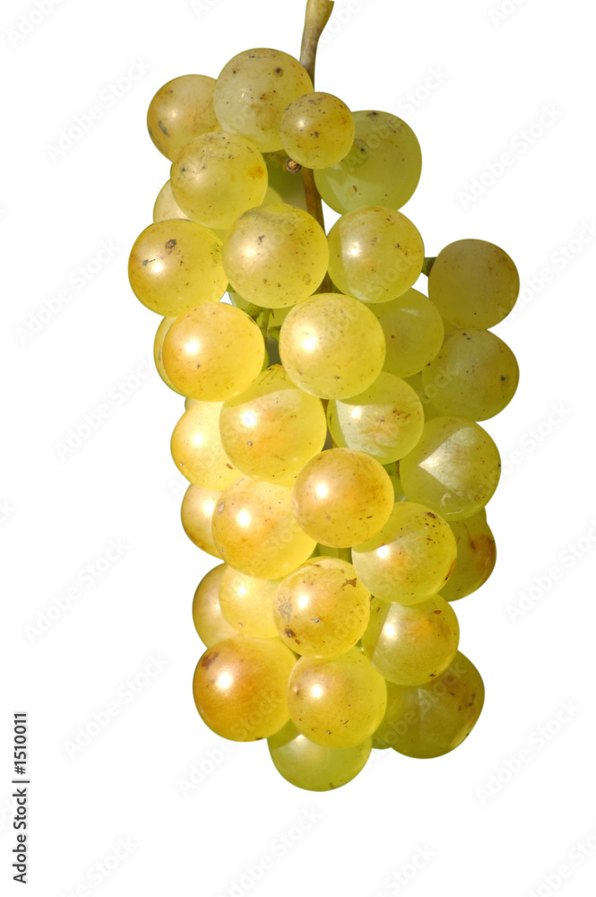 Grappe De Raisins Blancs Detouree Stock Photo Adobe Stock