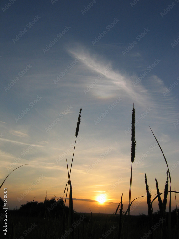 Naklejka premium sunset