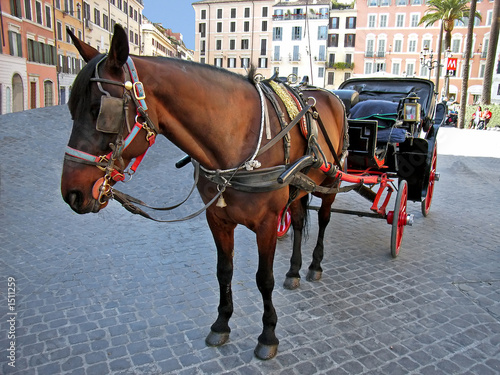 horse coach in rome © JCVStock