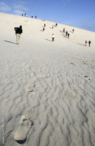 desert strive