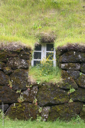 fenêtre fleurie