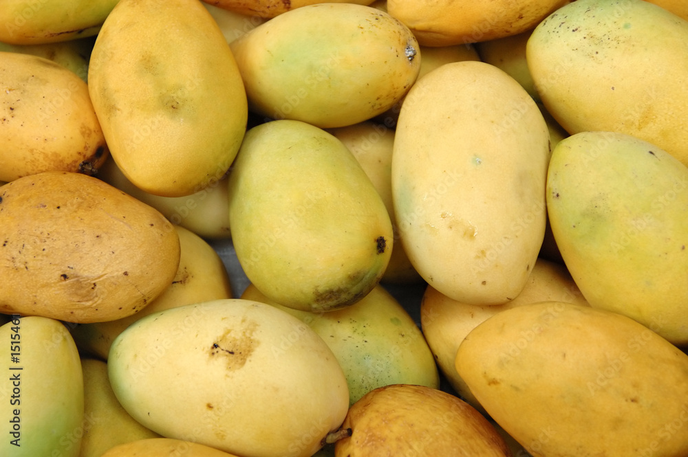 mango background mango background