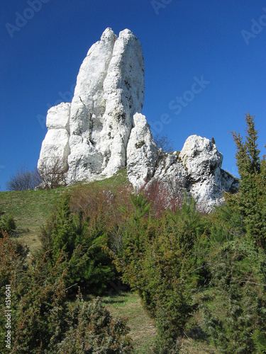 white rocks.
