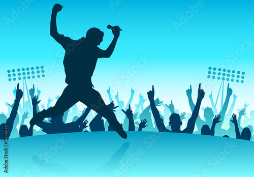 Cuadro en lienzo stadium rocks