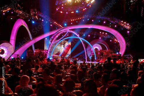 people at the concert