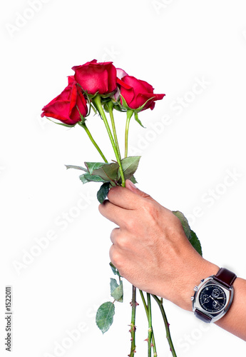 hand holding a roses